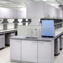 清远医院检验科工作台 实验室家具 钢木实验台、边台、中央台定制