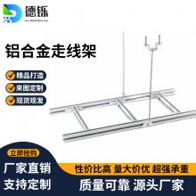 梯式桥架通信机房布线器 铝合金走线架开放式桥架 固线器600MM