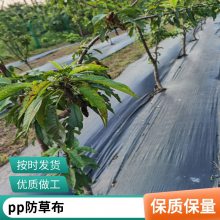 黑色pp防草布 农用园林大棚果园菜地除草布 编织园艺地布供应