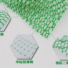 三维植被网报价EM4三维土工网垫固土土工网垫玉林