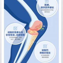 进口氨糖软骨素复合片清关流程