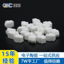 陶瓷推杆 氧化铝金属化陶瓷 支持来图来样定制 湖南美程