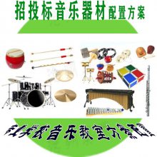 学校教学音乐器材厂 中小学音乐教学器材教具