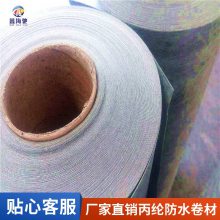 聚乙烯丙纶防水卷材 海驰防水 涤纶高分子复合卷材 300g400克 TS丙纶布SBC