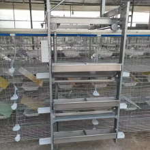 鸽笼厂加工定做3层24位框架鸽子笼全自动养殖设备肉鸽笼子 框架式鸽子笼养设备 镀锌鸽子笼 养鸽航车式喂料机 养