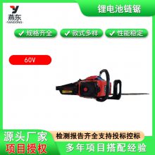 ӦԮ綯ƲЯ60V﮵ʽ綯;