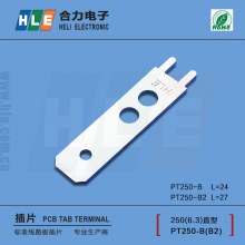 250/6.3·庸ӲƬPT250-B2TE 62262-1
