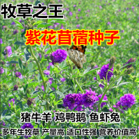 ϻޣ ţѿ˶ļͺ