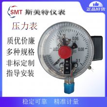 ˹ѹ_Y150 304 0-1MPa M201.5  1.6