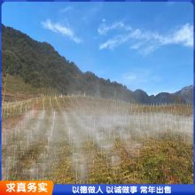 园林草坪微喷管道 农业节水灌溉地插微喷头