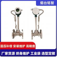 铭智智能涡街流量计 一体化压缩空气 工业污水监测 夹持式稳压补偿
