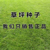 ӱϷļݲ