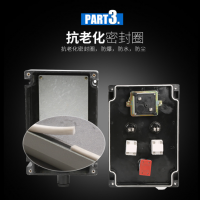 LCZ8050-B2D2L ExdIICT6