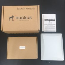 (yu)P300oW(wng)AP Ruckus P300(yu)901-P300-C***