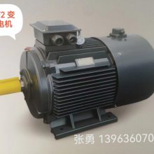 凯泉泵业专用变频电机YVF2 355L1-4-280KW-开元电机