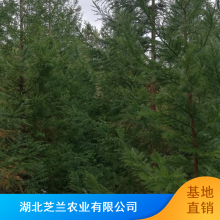 5-8ֿ溦ɼ_֥еɼ_ɻ***ɼ