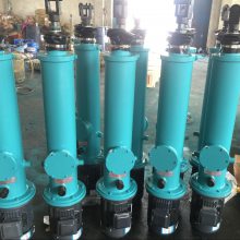 DYTZ1000-300ֱʽҺƸED80/6Һѹƶ??