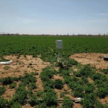 微型土壤蒸渗仪 DF-ZF20 东方鑫鸿 GPRS传输 太阳能供电 土壤蒸发渗漏