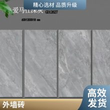 ľƵʯ ĻǽɹʯӢש ԰־۷ʯPCש200*600