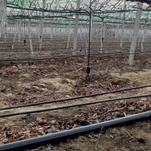 遮阳棚葡萄灌溉喷淋设备 葡萄园滴灌材料 水肥一体化管材配件
