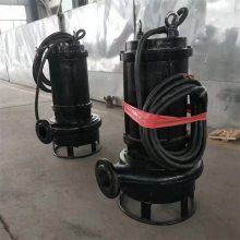 电动不锈钢渣浆泵 搅拌叶轮输送泵 河底清淤排泥泵
