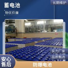 丰日蓄电池6-FM-60密闭12V60AH电梯消防设施UPS机房监控应急电瓶