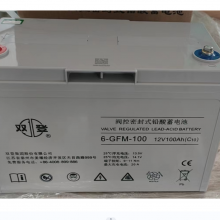 ˫Ǧ6-GFM-100 12V100AH (C10)