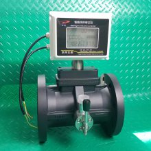 �����Ǳ� ���������� LWQ-D-50LP2 DN50 �ֻ�����