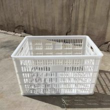 固原塑料筐中卫塑料带铁耳菜筐139,1903,1250