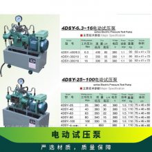 úӦ4DSY-165/6.3õ綯ѹ 63ѹ