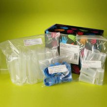 066325Ĭ thermo fisher ɫPROD TRAY 2.0ML