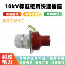 10kV׼ÿٲ·ϵͳͷӿڲ