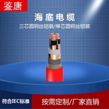 HYJQF41-F-64/110kV-1*1000+2*48B1Եף縴ϣ