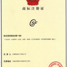 CSF̱ע֤