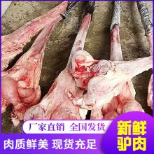 驴尾巴驴小肠 生鲜驴副产品 品类齐全 现杀现卖