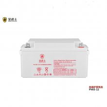 ʿ PV65-12-YA Ǧά12V6***H ֱ upsԴ
