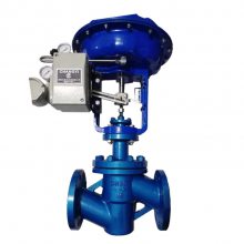 ZJHPF46-16C DN20 ķڷ Կ  ʴԽ