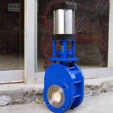 Z674TC-10C DN40 ̼˫բϷ ˫