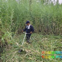 н«έ ˮ  רҵˮˮֲ