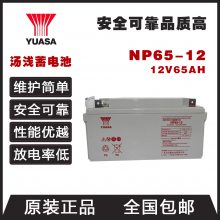 YUASA汤浅NP65-12蓄电池 12V65AH铅酸UPS电池EPS直流屏 免维护