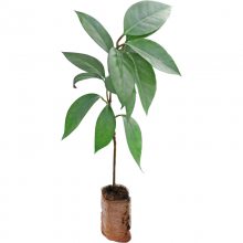 ���ϻ�������ˮ��������Ʒ�����ļ���������Ե�����