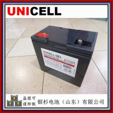 UNICELLTLA12800CPUPSԴϵͳ12V-80Ahܵ