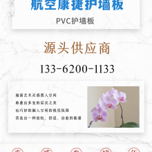 ӦˮԻӡˢPVCɫĤ ǽ