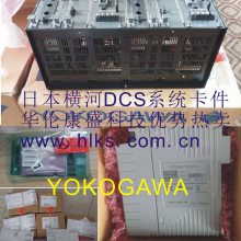 AAI141模拟输入模块横河YOKOGAWA由华伦康盛提供