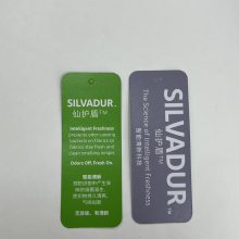 ʢLanxessɻӿ Silvadur 930 flex