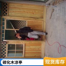 家庭花园绿化设计木质廊架碳化木凉亭屋顶阳台绿化室外户外朝阳