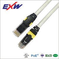 ׿³ֱࣨCAT.6A 10GΡ߶ƽ50U