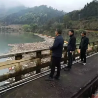 ʪ޸۵ƯƯ۴