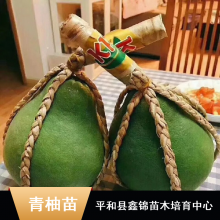 β_̩챦ʯֲ__***β