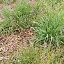 �������������Ż� �ļ�����ܸܸ�������̻���ѿ***�����������ٶȿ�